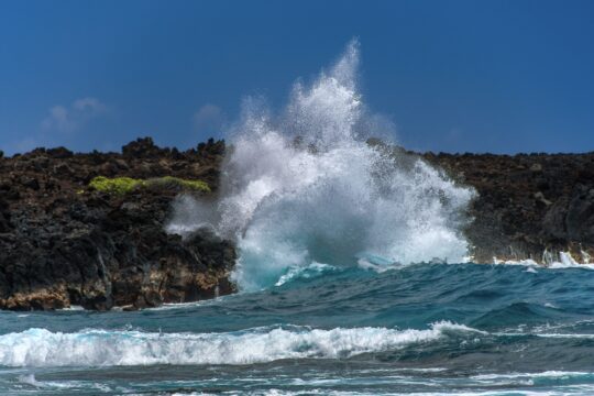waves hawaii